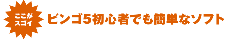 ここがスゴイ！　ビンゴ5初心者でも簡単なサービス