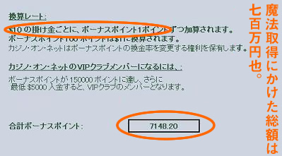 魔法取得にかけた総額は700万円なり。