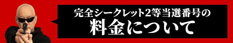 ロト6完全シークレット2等当選番号の料金について